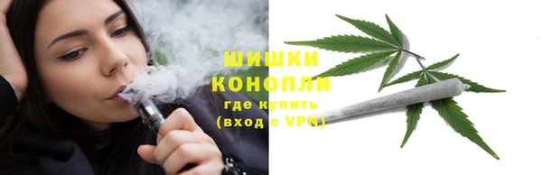 винт Бородино