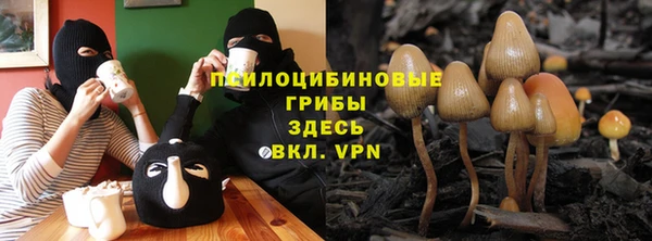 эйфоретик Верхний Тагил