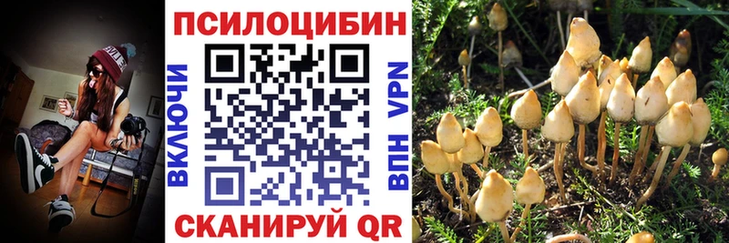 Галлюциногенные грибы GOLDEN TEACHER  Купить закладки  Краснозаводск 